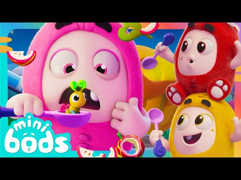 Pumpkin Munch Mayhem! 🎃 | Minibods | Preschool Cartoons for Toddlers