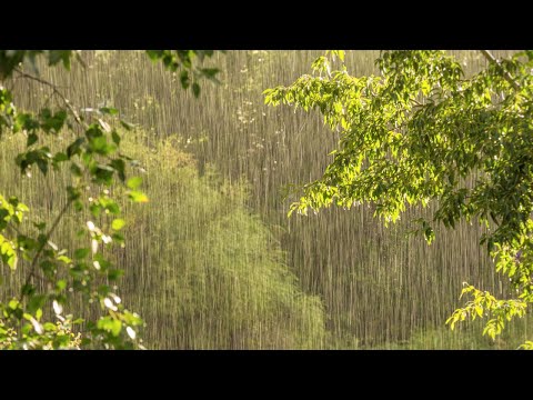 Ahora que no LLUEVE, este video TE AYUDARA A RECORDAR Y MEDITAR