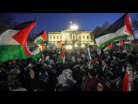 Pro-Palestine protesters attempt to tear down White House fence