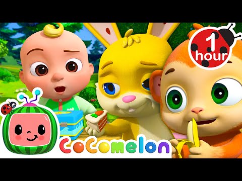 Colorful Lunch Song + More Food Songs | CoComelon Animal Time - Learning with Animals