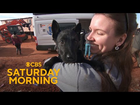 Volunteers work to reduce barriers to pet care in rural America