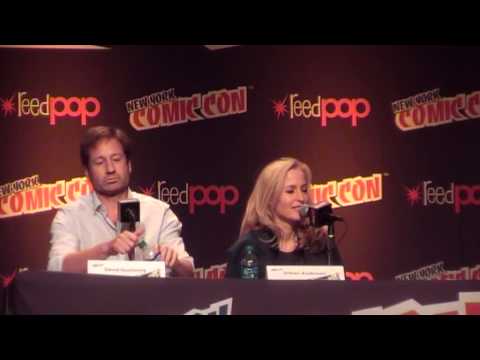 NYCC 2013 XF-Panel with Gillian Anderson &amp; David Duchovny