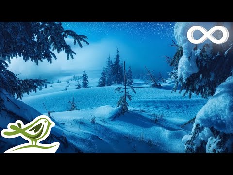 Calm Piano Music with Beautiful Winter Photos &bull; Soothing Music for Studying, Relaxation or Sleeping