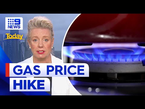 Hefty gas bill fees in Melbourne after state government&rsquo;s new plan | 9 News Australia