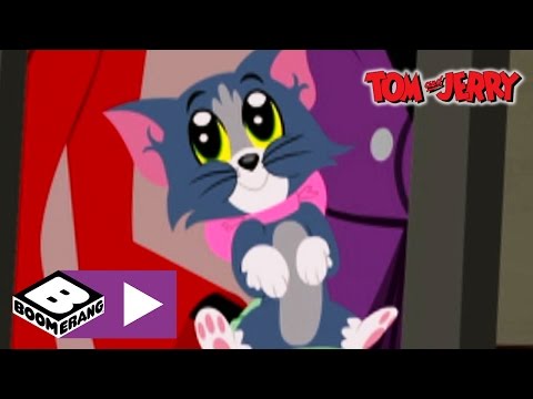 Tom &amp; Jerry | Black Cat | Boomerang UK