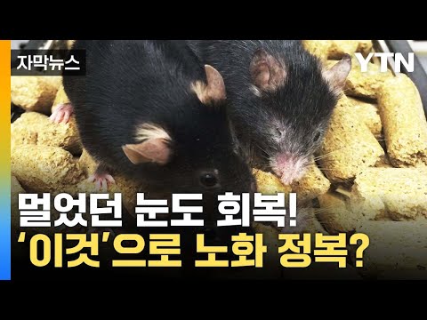 [자막뉴스] 빠졌던 털도 멀었던 눈도...'이것'으로 노화 정복? / YTN