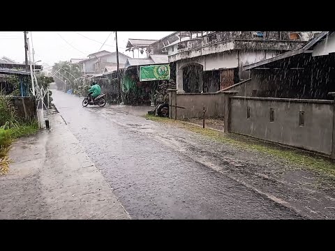 Heavy Rain in West Borneo settlements | Walking in the Rain | Relax with Rain Sounds