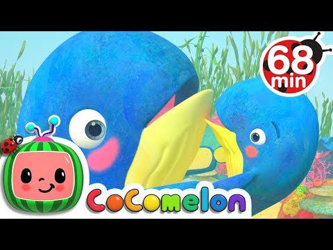 Mom and Baby Blue Whale Lullaby Song + More Nursery Rhymes &amp; Kids Songs - CoComelon