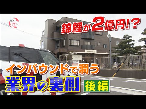 【2億円のニシキゴイ！？②】「カネに糸目はつけない！」海外富裕層のお目当ては２億円の錦鯉！？　「コイに恋して」ドキュメンタリー