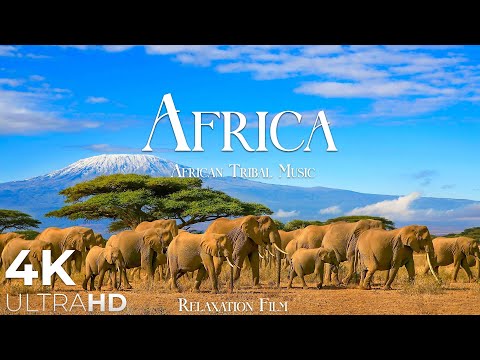 AFRICA 4K &amp;bull; Breathtaking Wildlife, Tribal Music - Relaxation Film - Nature 4k Video UltraHD