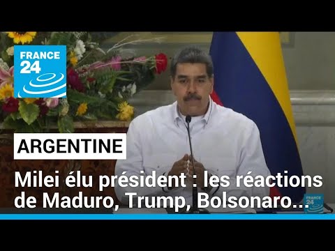 Argentine : Javier Milei, &eacute;lu pr&eacute;sident, promet de vaincre l'inflation chronique &bull; FRANCE 24