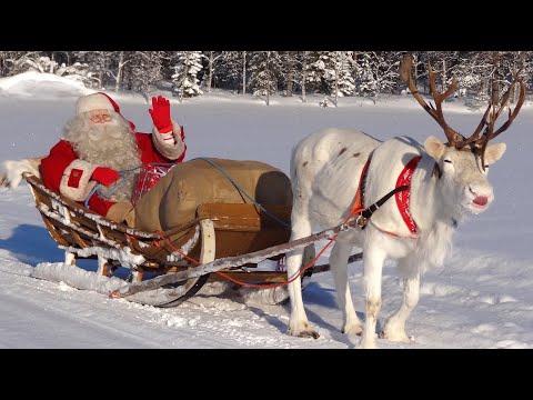 Gli animali di Babbo Natale Lapponia: le migliori storie 🎅🦌🐕 renne e cani di Santa Claus messaggio