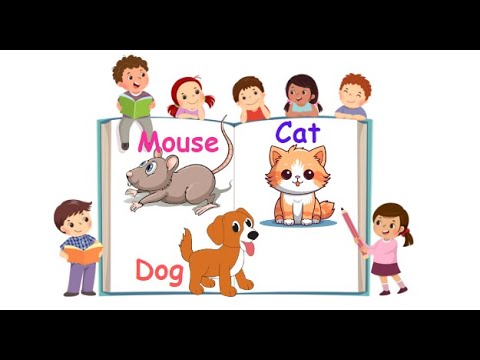 Mouse Cat Dog-(Con chuột-Con m&amp;egrave;o - Con Ch&amp;oacute;)-Kho từ vựng Tiếng anh| English for Kid |T-Happy Kids