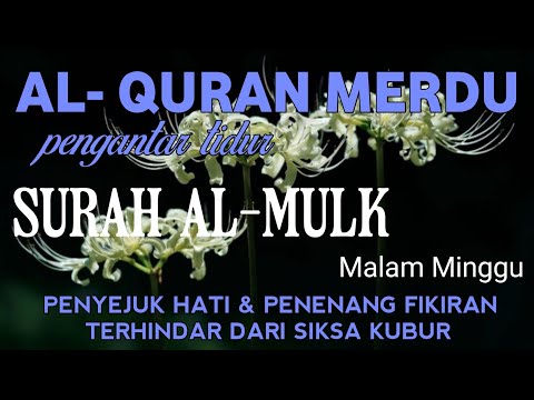 Surah Al-Mulk Bacaan Merdu Pengantar Tidur, Terhindar Dari Siksa Kubur