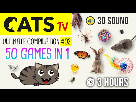 CATS TV -  ULTIMATE Games Compilation for CATS &amp; DOGS #02 (50 games in 1)  - 3 HOURS