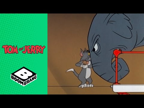 Jerry and his Elephant Bodyguard | Tom and Jerry | Boomerang UK