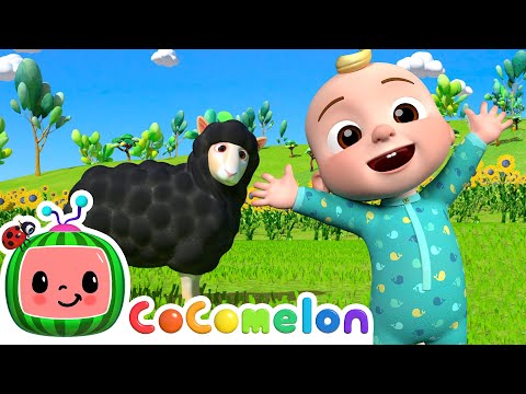 Baa Baa Black Sheep + More! | CoComelon Animals | Animals for Kids