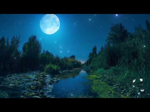 Relaxing Music,Meditation Music, Nature Sounds, Healing Music, Sleep Music, Anxiety &amp; Stress Relief.