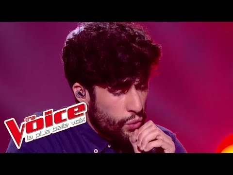 Berywam (MB14) &amp;quot;Medley&amp;quot; | The Voice France 2017 | Live