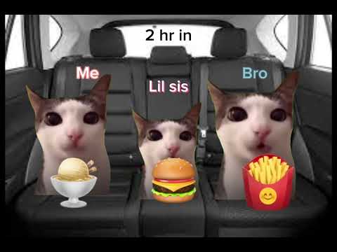 Cat family road trip part 1