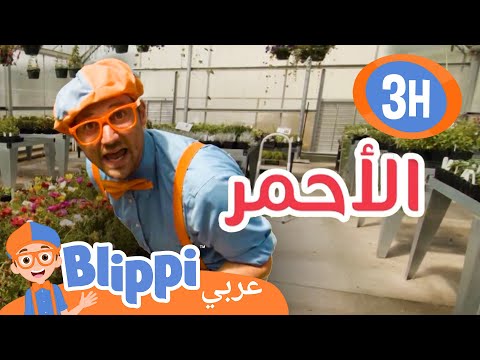 ​?​?​?​تعلم الألوان مع بليبي - شاهد النباتات تنمو! | بليبي بالعربي