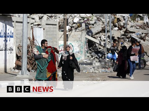 Israel-Gaza war: Hamas reports 241 killed in Gaza inside 24 hours | BBC News