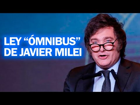 LA LEY &quot;&Oacute;MNIBUS&quot; DE JAVIER MILEI &iquest;DE QU&Eacute; TRATA?