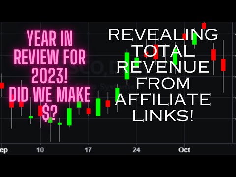 2023 YEAR IN REVIEW! HOW MUCH I MADE FROM AFFILIATES AND YOUTUBE IN 2023! GOALS FOR 2024!