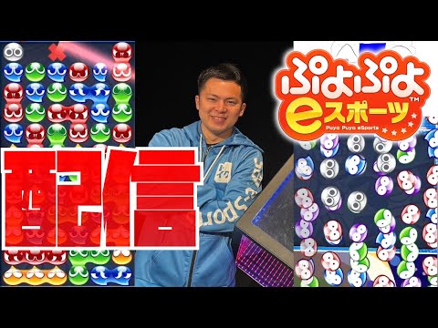 ちょっとだけレート戦【ぷよぷよeスポーツ】