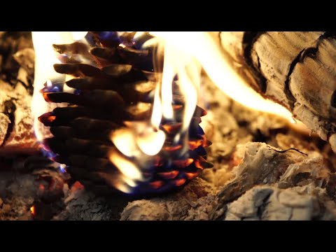 Relaxing Warm Cozy Crackling Fire