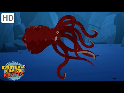 Octopus e outras criaturas de clima frio [epis&oacute;dios completos] Aventuras com os Kratts