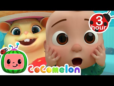 I Lost the Class Hamster (Where's Jellybean?) | Cocomelon - Nursery Rhymes | Fun Cartoons For Kids