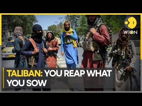 Taliban warns Afghanistan about Pakistan expulsion | World News| WION