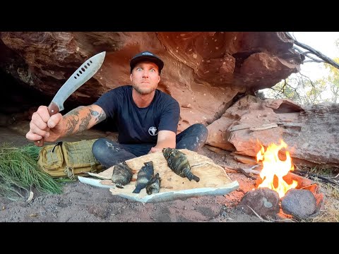 3 DAYS solo survival - NO FOOD, NO WATER, NO SHELTER in OUT BACK AUSTRALIA