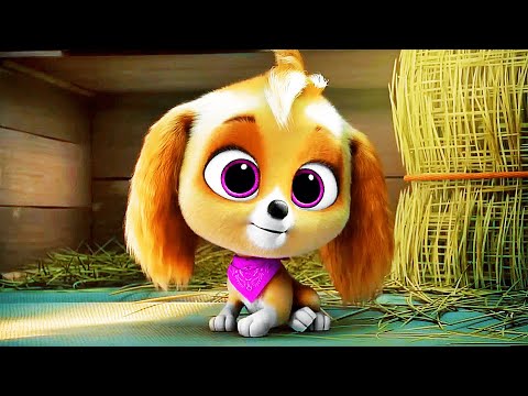 Skye Origin Scene | PAW PATROL: THE MIGHTY MOVIE (2023) Movie CLIP HD