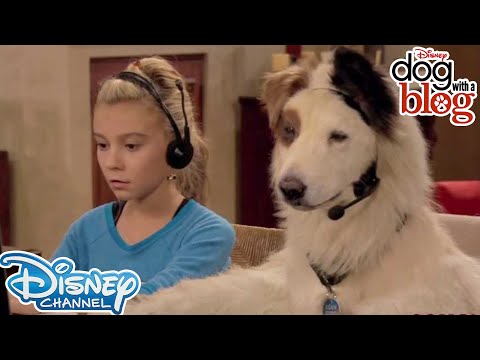 10 Throwbacks from Dog With A Blog | Disney Channel UK