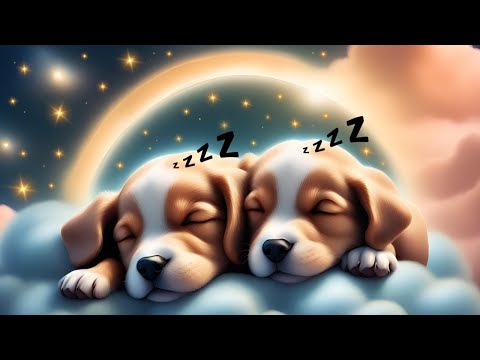 SOOTHING Bedtime Music for Brain Development 💤🌙 1 Hour Mozart and Other Lullabies for Babies ♫♫