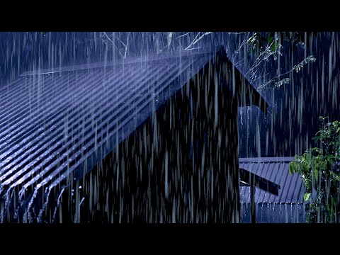 Heavy Stormy Night to Sleep Instantly | Strong Rainstorm on Tin Roof, Mighty Thunder &amp; Wind Sounds