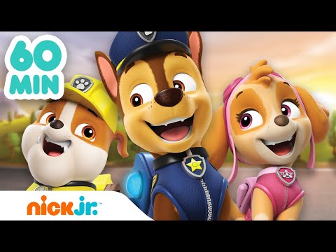 PAW Patrol | Die besten PAW Patrol-Momente - 1 Stunde! | Nick Jr. Deutschland