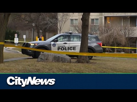 Two young boys dead following incident at Scarborough apartment building