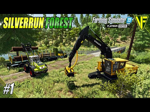 Setting Up In  A NEW Place | Silverrun Forest | Farming Simulator 22