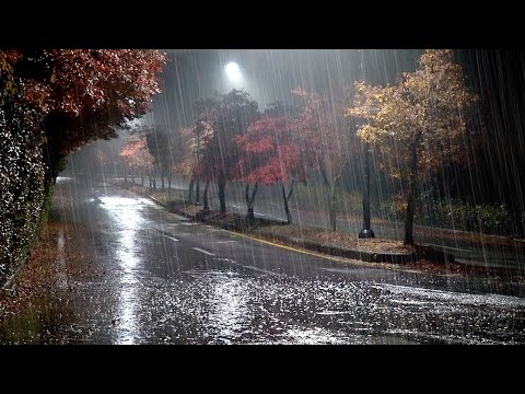 The soft sound of rain falling on a quiet road outside, white noise perfect for overcoming insomnia