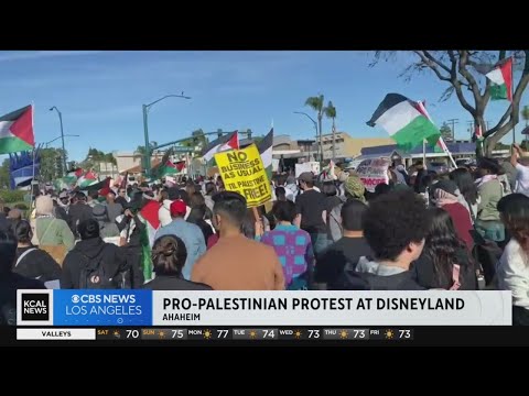 Pro-Palestine protest hits streets outside Disneyland