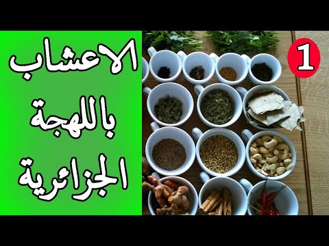 10 أعشاب مترجمة الى اللهجة الجزائرية    الجزء 1 🇩🇿🇩🇿