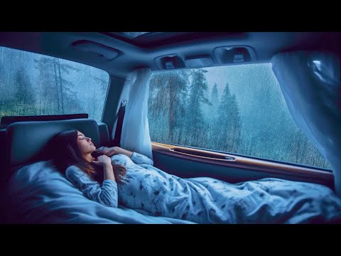 Sleep soundly! Sound of rain in the car in the forest to sleep and relax all night 💆🏽&zwj;♂️