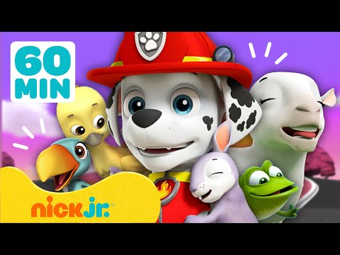 Patrulha Canina | Os MELHORES Resgates de Animais do Marshall! 🦁 | 60 minutos | Nick Jr.