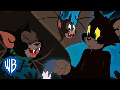 Tom &amp; Jerry | Black Cats &amp; Spooky Bats | WB Kids