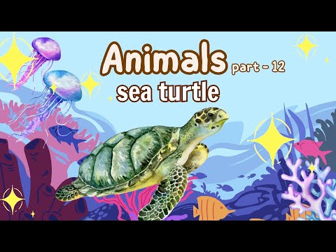 Sea Turtles: A Marvelous Journey Beneath the Waves|Animals part 12