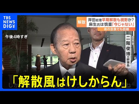 二階氏「解散風はけしからん」　早期解散説に自民党内では慎重論　国会会期末まで2週間｜TBS&nbsp;NEWS&nbsp;DIG