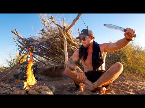 SOLO SURVIVAL CHALLENGE - NO SHELTER , NO FIRE ,  NO FOOD - Bushcraft Survival